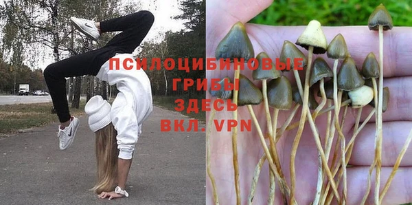 герыч Володарск