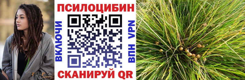 Галлюциногенные грибы Psilocybine cubensis mega ТОР Павловск